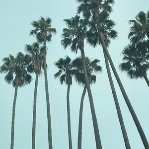 Meet your Posher, Dash